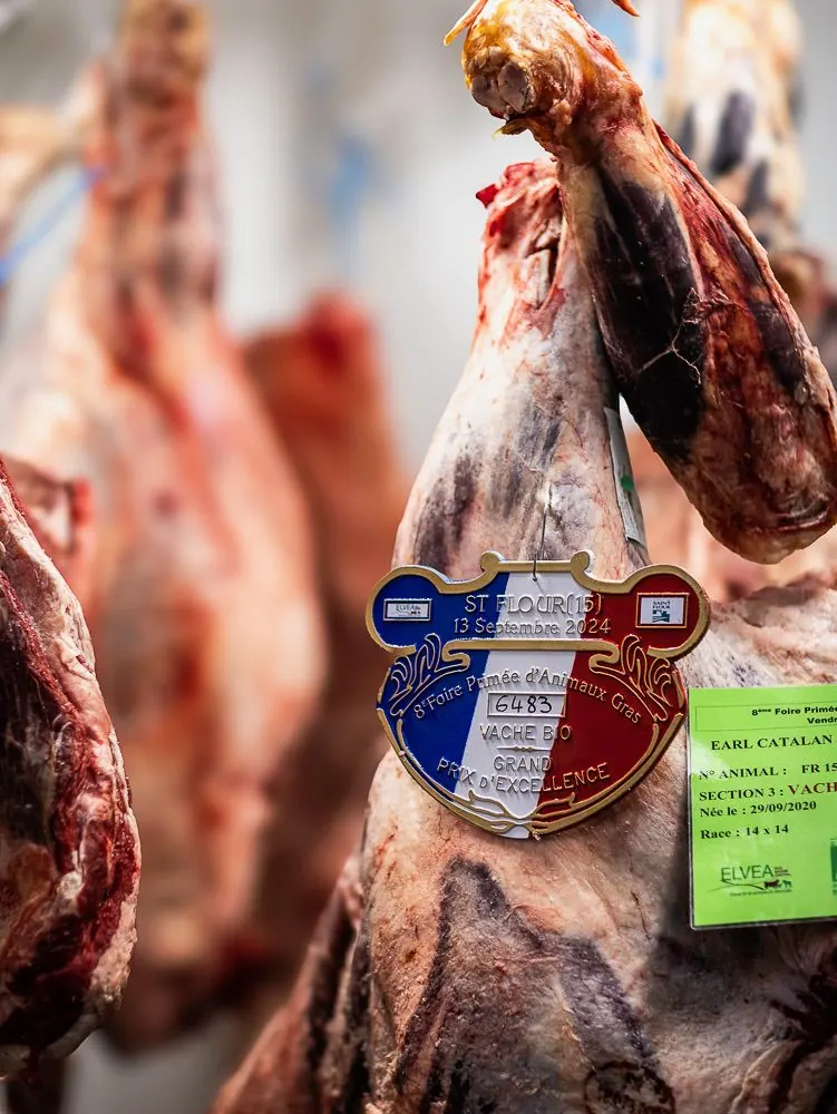 Carcasse suspendue portant une plaque de Grand prix d’excellence
